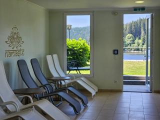 Seehotel Hubertus - Schluchsee - 9