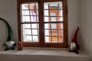 Nonna Clara, monolocale - Pieve di Cadore - 9