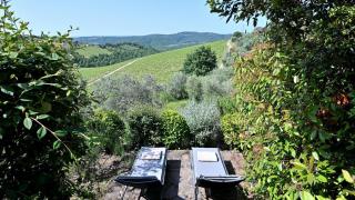 La Stella - Gaiole in Chianti - 9