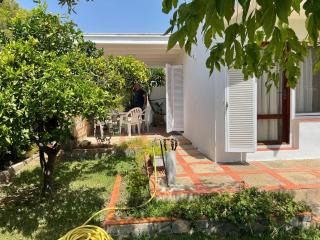 VILLA MARIBEL - Calafat - 7