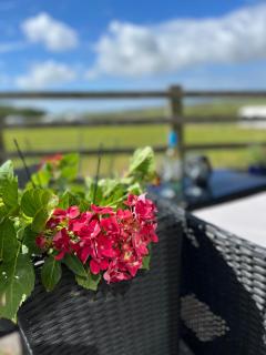 Countryside 3-bedroom Static Caravan - 2