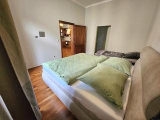 Spacious Apartment 6min from the Dancing House - Praga - 3