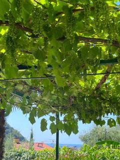 Hotel Giotto - Garda - 3