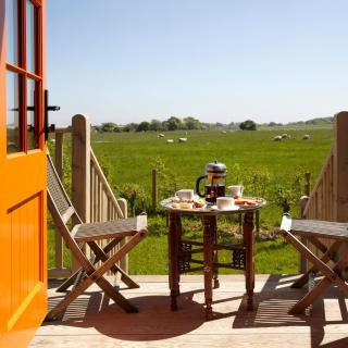 Hornington Manor Luxury Shepherd Huts - York - 1