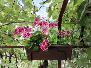 Summer 2 - Crikvenica - 2