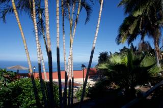 Finca La Romera - La Orotava - 4