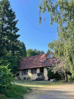 Rebhaus Durbach - Durbach - 2