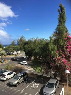 Leu Corail - Saint-Leu - 9