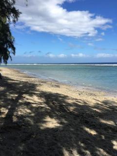 Leu Corail - Saint-Leu - 5