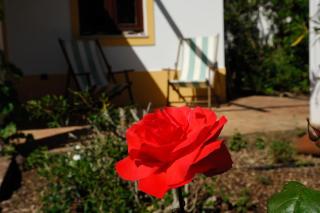 In der Natur und nah am Meer: Casa Sul - Aljezur - 3