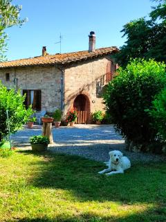 L'oca Nera - Chiusi - 7