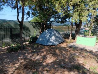 Camping Curtea Pescărușului - Vama Veche - 6