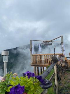 Guest house Sargiri - Omalo - 9