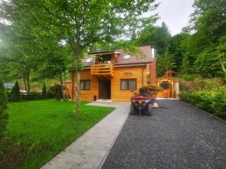 Bear's Lair Chalet - Porumbacu de Sus - 9