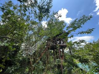 Mossy Forest Chalets - 5