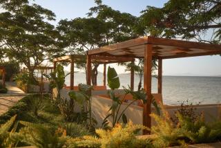 Datça Dirik Surf Beach Hotel - Datça - 9