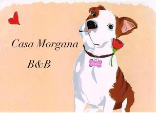 B&B Casa Morgana - Olbia - 9