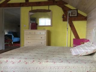 Gîte La Louisiane - Salies-de-Béarn - 9