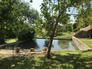 Gîte du banc de scie - Ceton - 8