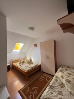 Casa Roland - Sovata - 1