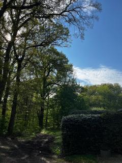 Hof Bahrenwinkel - Osterholz-Scharmbeck - 7