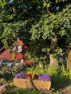 Hof Bahrenwinkel - Osterholz-Scharmbeck - 4