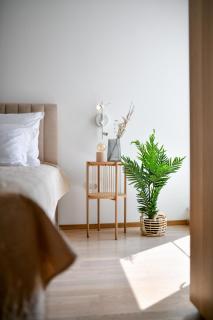 Mijatović holidays Sunset Villa Mandre min 4 nights stay - Mandre - 7