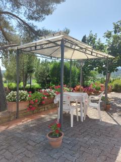 Agriturismo Mezzo Poggio Suvereto - Suvereto - 9