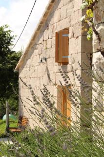 Casa Petra, village stone house - Prisoje - 9