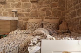 Casa Petra, village stone house - Prisoje - 8