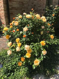 Casa Padronale - delle rondini - 2