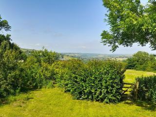 Lower Barn - Pencader - 5