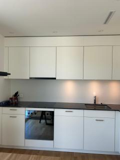 The R Apartment Passwang, KLIMA, NEU, Balkon, Parking - Balsthal - 1