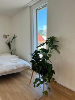 The R Apartment Passwang, KLIMA, NEU, Balkon, Parking - Balsthal - 8