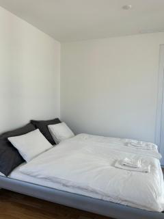 The R Apartment Passwang, KLIMA, NEU, Balkon, Parking - Balsthal - 6