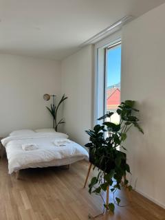 The R Apartment Passwang, KLIMA, NEU, Balkon, Parking - Balsthal - 5