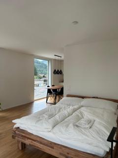 The R Apartment Engelberg, KLIMA, NEU, Balkon, Parking - Balsthal - 6