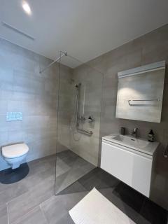 The R Apartment Engelberg, KLIMA, NEU, Balkon, Parking - Balsthal - 1
