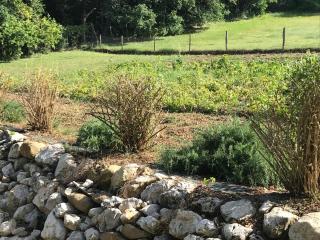 Fattoria Antica Forconia - LʼAquila - 8