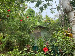 Casa Horizontes Corcovado - Drake - 6