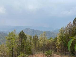 2 BHK- Rustic Villa, Lansdown - 1