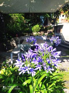 Pergolato suite - Sanremo - 8