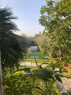 Villa Ulivi - Tocco da Casauria - 2