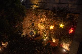 Nardazul "Casa de Sueños" - Città di Oaxaca - 7