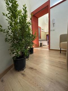 Beauty Aparment by EUreka - Catania - 8