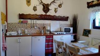 Studio 45 sqm with mountain view - Porumbacu de Sus - 6