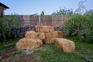Native Hatis Mount Eco Resort - - 1
