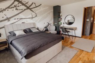 STUDIO APARTMAN LIFE - Karlovac - 7