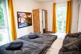 Moderní apartmán uprostřed šumavské přírody - Zdíkovec - 8