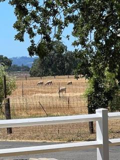 Wine Country - Country home - - 3